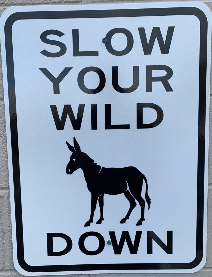 Slow Down Sign - Silver State Barricade and Sign Custom Signs